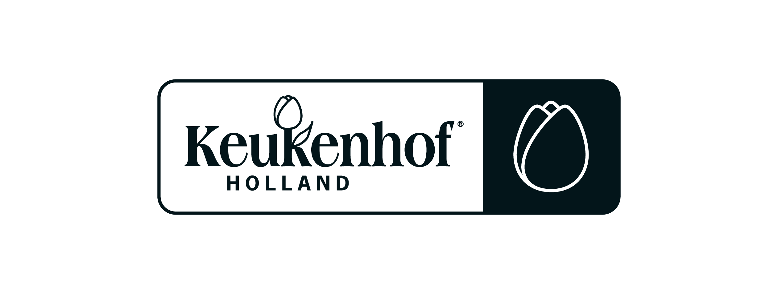 EOF-Logo_Noordwijk Marketing -02